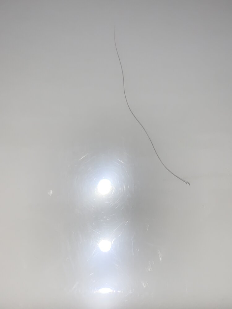 0FD2C70D-5D91-4DB5-B721-1B3D739806C4.jpeg
