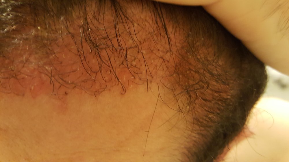 12weeks3.jpg