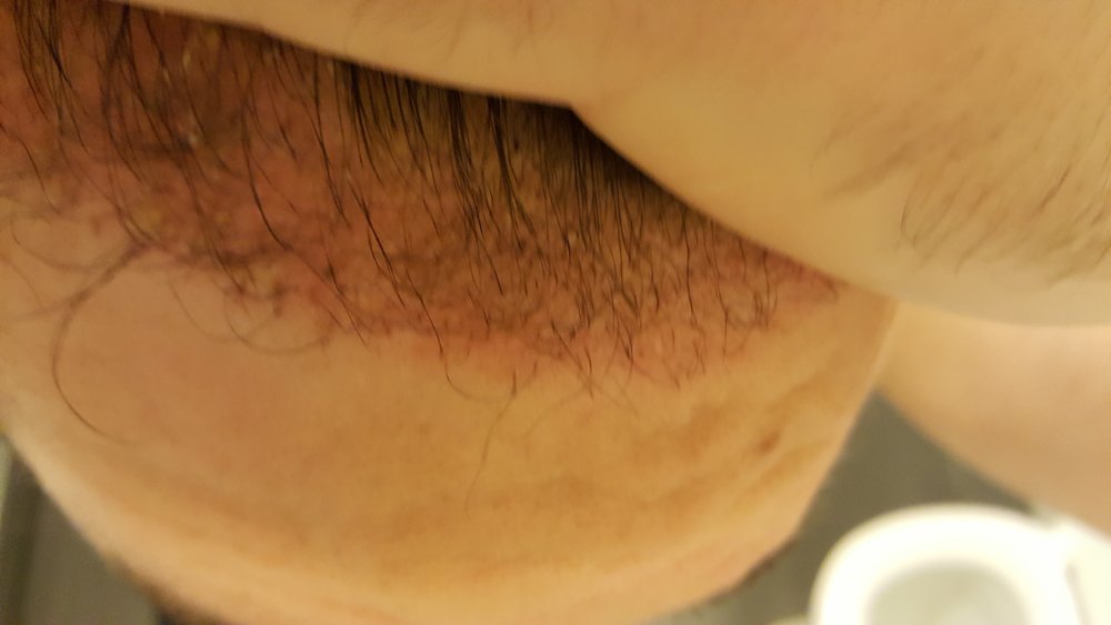 12weeks6.jpg