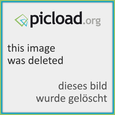 14963131_10209235737544321_433.png