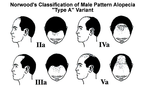 1622831232713.png