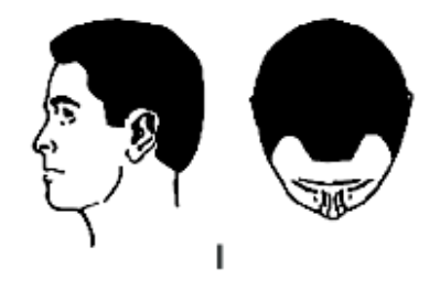 1624489946368.png