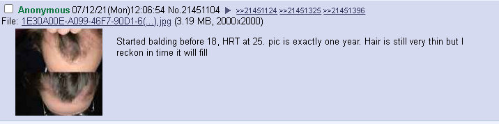 1626082391373.png