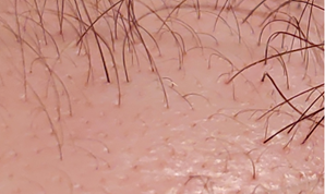 1626305433682.png