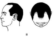 1699315787576.png