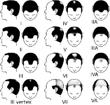 1701059370270.png