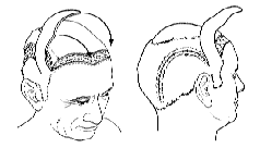 1706831545874.png
