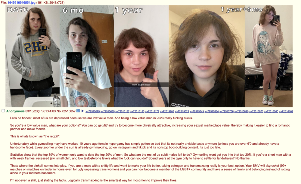 1754164123207.png