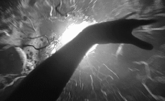 200.gif