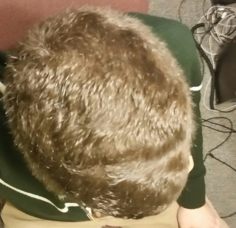 20170305_115214-1.jpg