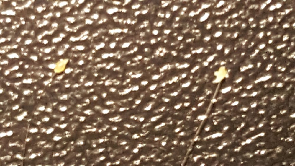 20170517_093442.jpg