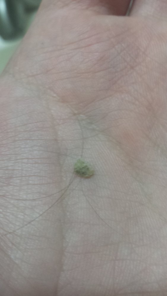 20170818_030142.jpg