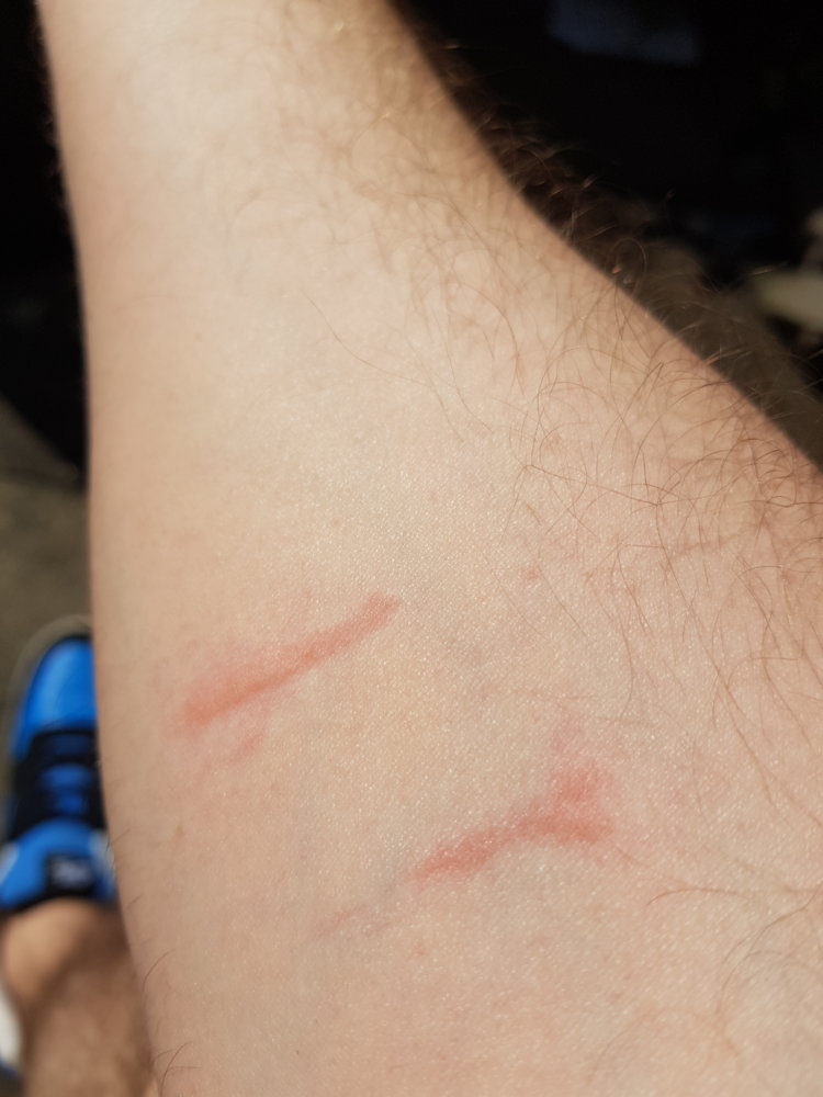 20180513_141902.jpg