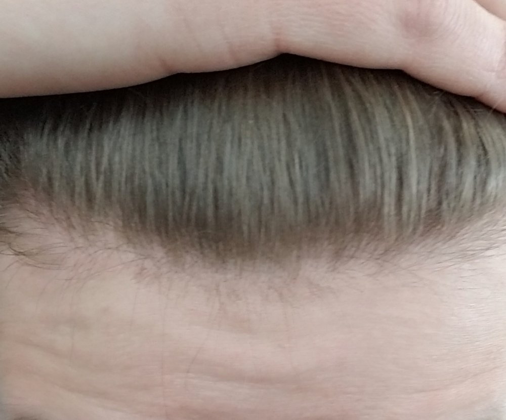20190424_121012.jpg