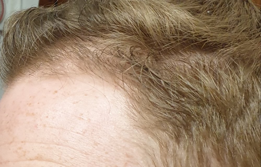 20191030_222302.jpg