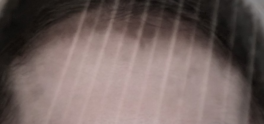 253532.jpg