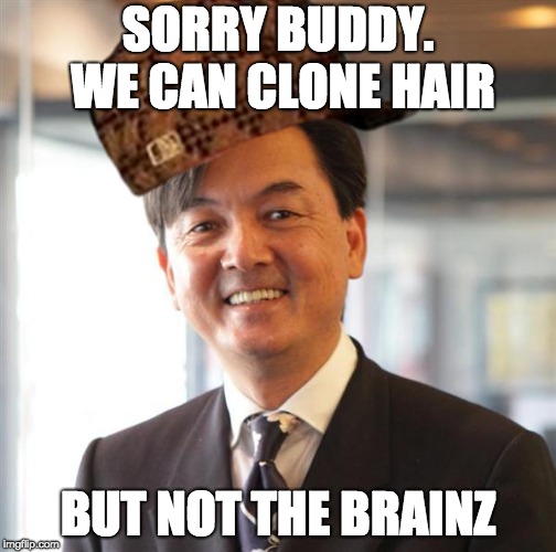 295upi.jpg