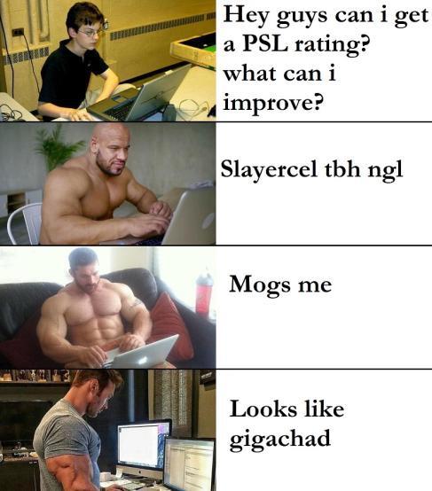 4udo2kq741561.jpg