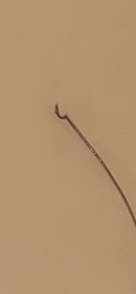 5D371FE2-1FA5-4598-ACE4-5125F73AE73A.png