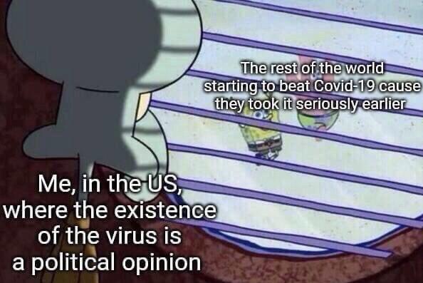 5o78kj5ybz651.jpg