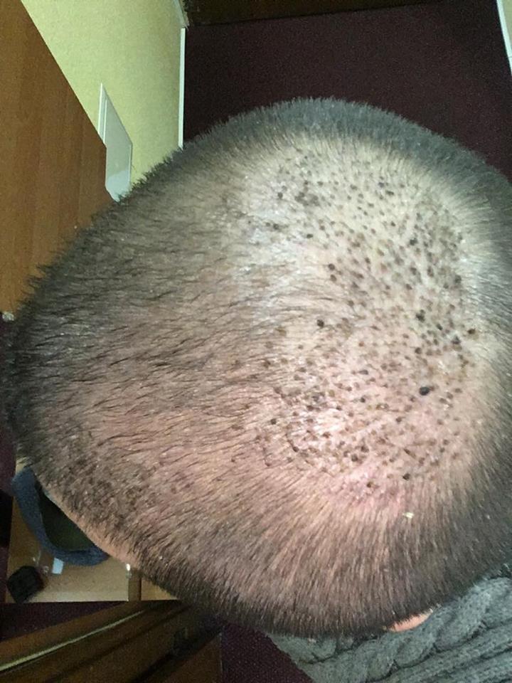 7daysbacktop.jpg