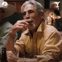 7s8zbvivxipk4ung5f3d1x3ewkzja4lr0xpqiaihg&rid=200w.gif