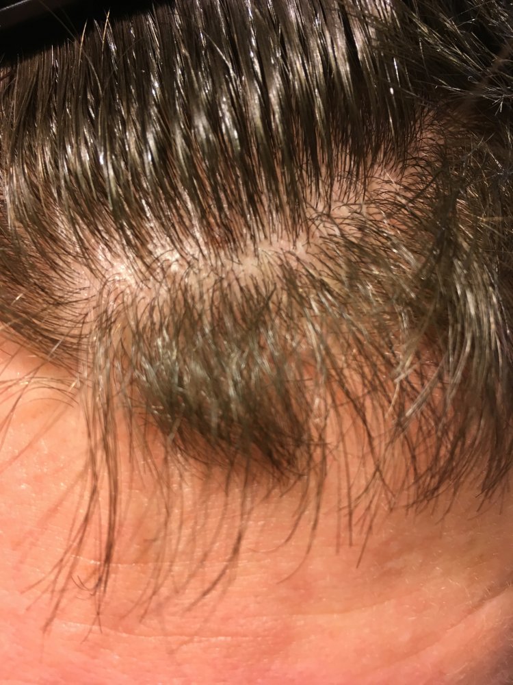 8 close up.jpg