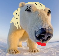 9Pq27uN.png