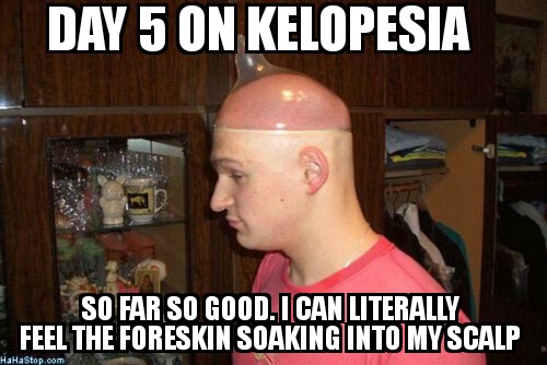 gourmetstylewellness.com kelo.jpg
