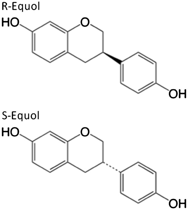 A-Effects-of-100nM-17b-estradiol-R-equol-and-S-equol-on-ROS-accumulation-in.jpg