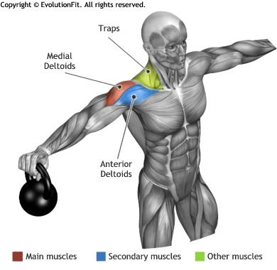 a9526de30e17ad5dc758d14a04defab9---workout-life-fitness.jpg