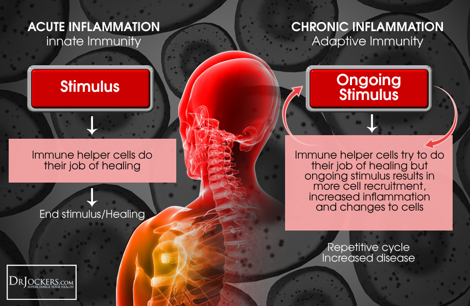 ACUTECHRONICINFLAMMATION_Pic.png