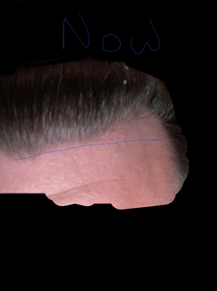 AE383E3C-8262-430A-A1CE-0192AA4AF405.jpeg