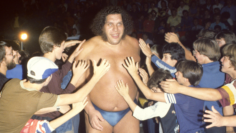 Andre_the_Giant_bio.png
