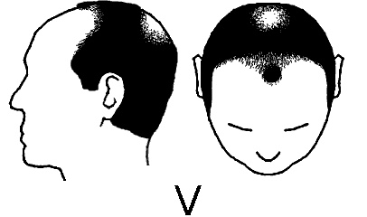B8FE593B-693A-4E93-994E-FBF98CE92B2F.jpeg
