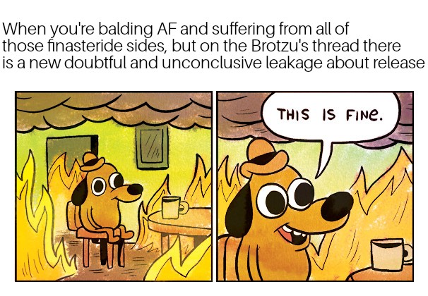 Brotzu leakage.jpg