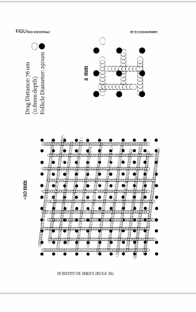 C2722584-F2C4-470B-8DBC-DEEF4D454C88.jpeg