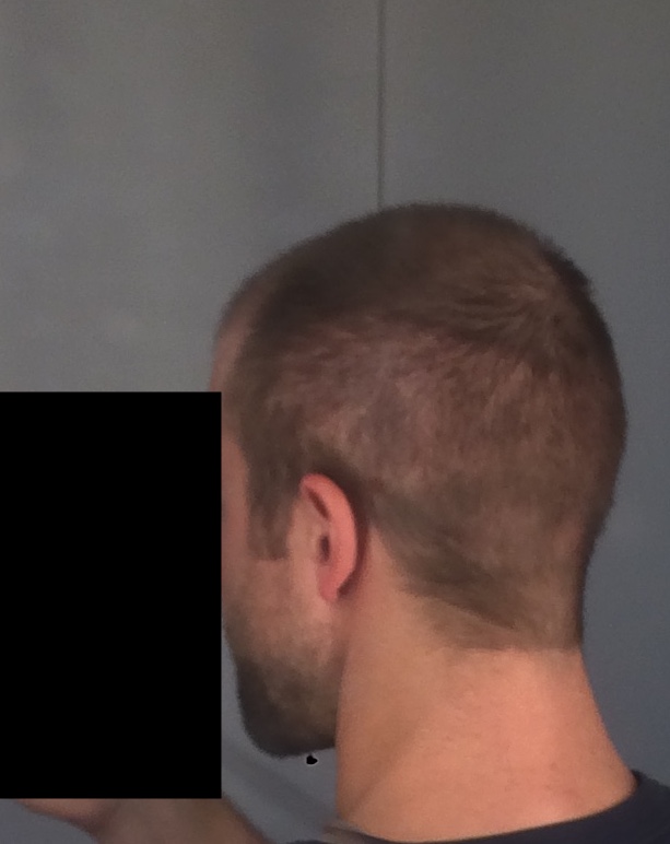 D29 Back 2.jpg