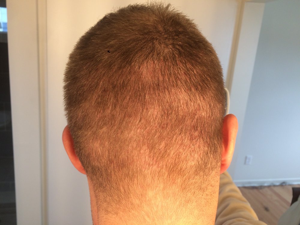 D52 Back.jpg