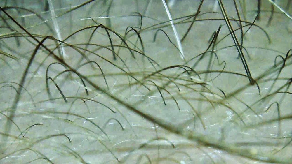 D598B0F4-6126-4DC6-B110-E85D9FC0F5D0.jpeg
