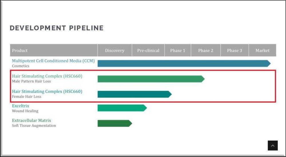 DEVELOPMENT PIPELINE.JPG