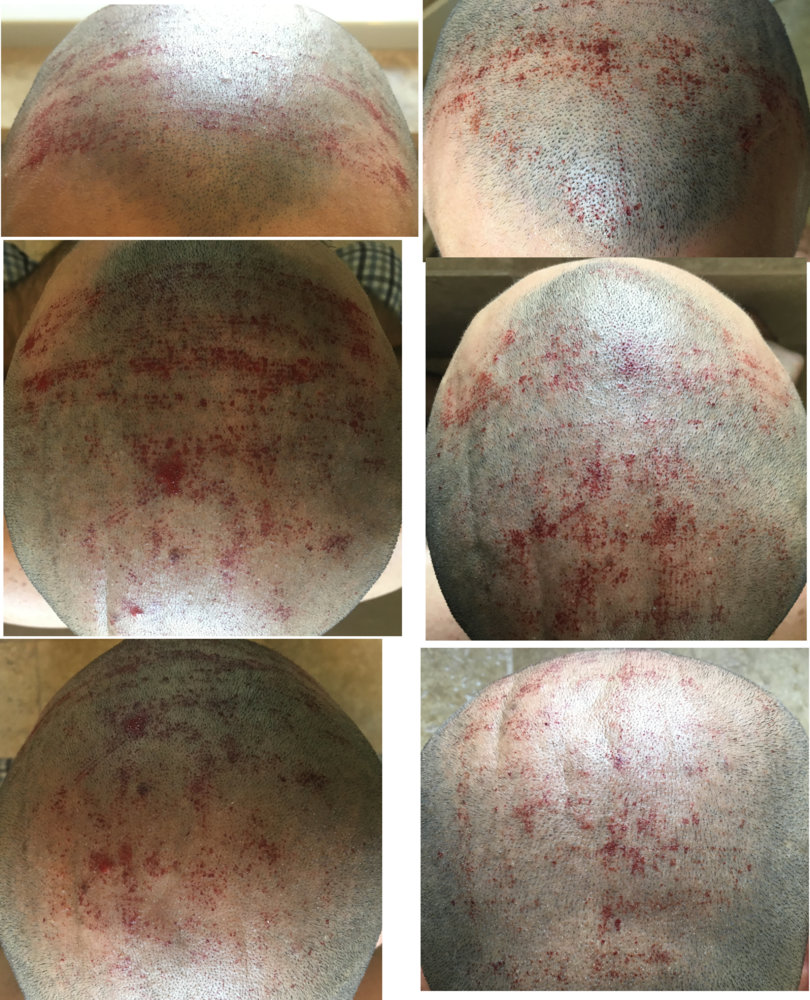 DR Apr 8 - 15.jpg