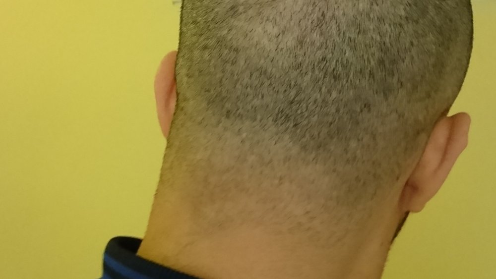 DSC_0149.JPG