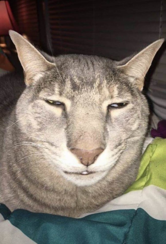 eq256RE.jpg