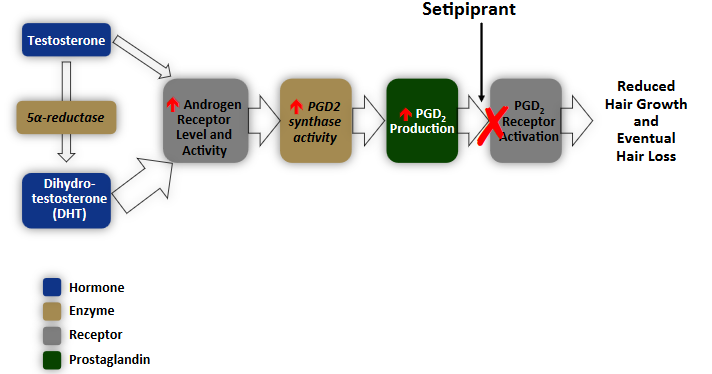 from-kythera-presentation.png