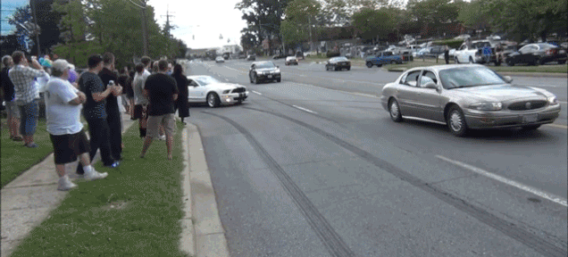 giphy.gif