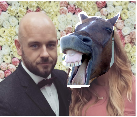 horse.png