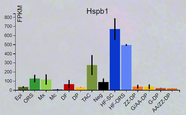 Hspb1.png