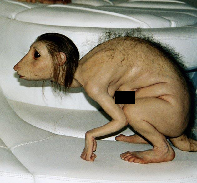 Human_f452e2_357920.png