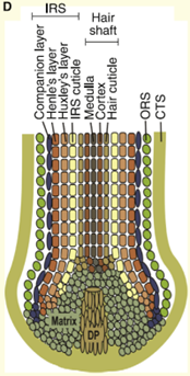 Image2.png.f3c28a66618aafa1afe66603f4a14eab.png
